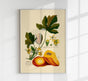 Papaya Vintage Poster – Fine Art Druck Patroa Studio