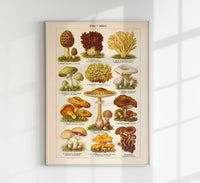 Vintage Mushrooms Chart I – Kunstdruck Pilze Botanik — Ansicht 1