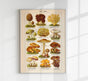 Vintage Mushrooms Chart I – Kunstdruck Pilze Botanik