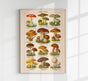 Vintage Mushrooms Chart II – Pilze II Kunstdruck Chromolithographie