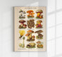 Vintage Mushrooms Chart III – Pilze III Kunstdruck