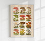 Vintage Mushrooms Chart IV – Botanische Illustration Fine Art Print Pilzposter