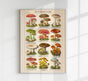 Vintage Mushrooms Chart IV – Botanische Illustration Fine Art Print Pilzposter