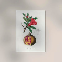 Pomegranate Kitchen – Fine Art Print | Granatapfel-Motiv Wanddeko A3/A2/A1 — Ansicht 2