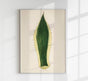 Agave Variegata – Rare Leaves Poster | Fine Art Print UV-beständig