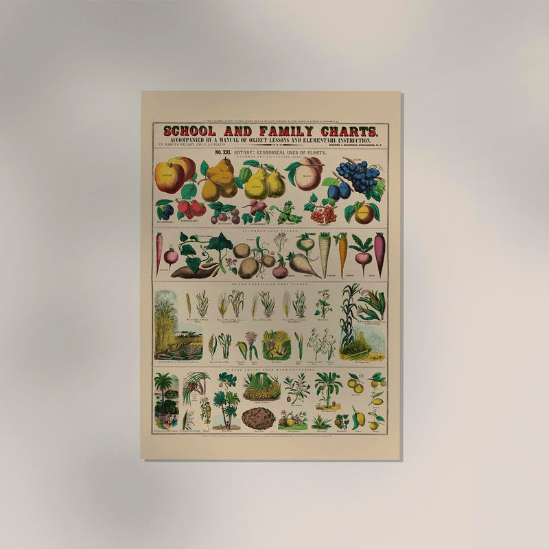 Botanical School and Family Chart – Fine Art Print | UV Resistant | Historical Botany — Ansicht 2