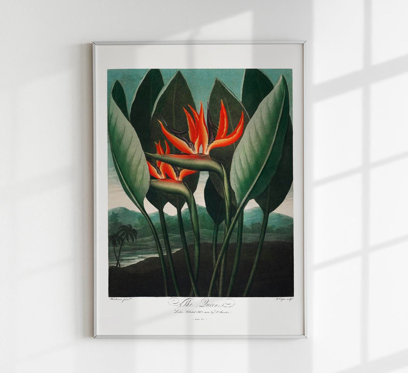 Flower Print The Queen Temple of Flora – Botanical Art Print | Patroa Studio — Patroa Studio