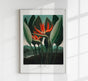 Flower Print The Queen Temple of Flora – Botanical Art Print | Patroa Studio
