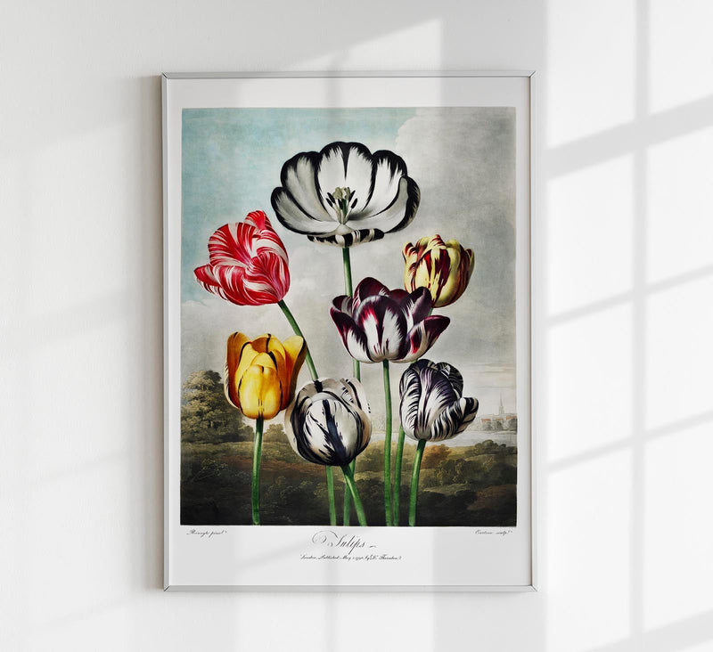 Flower Print Tulips Temple of Flora – Botanischer Kunstdruck Fine Art Poster — Patroa Studio
