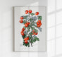 Tomatoes – Fine Art Print | UV-beständig | Botanisches Poster von Patroa Studio