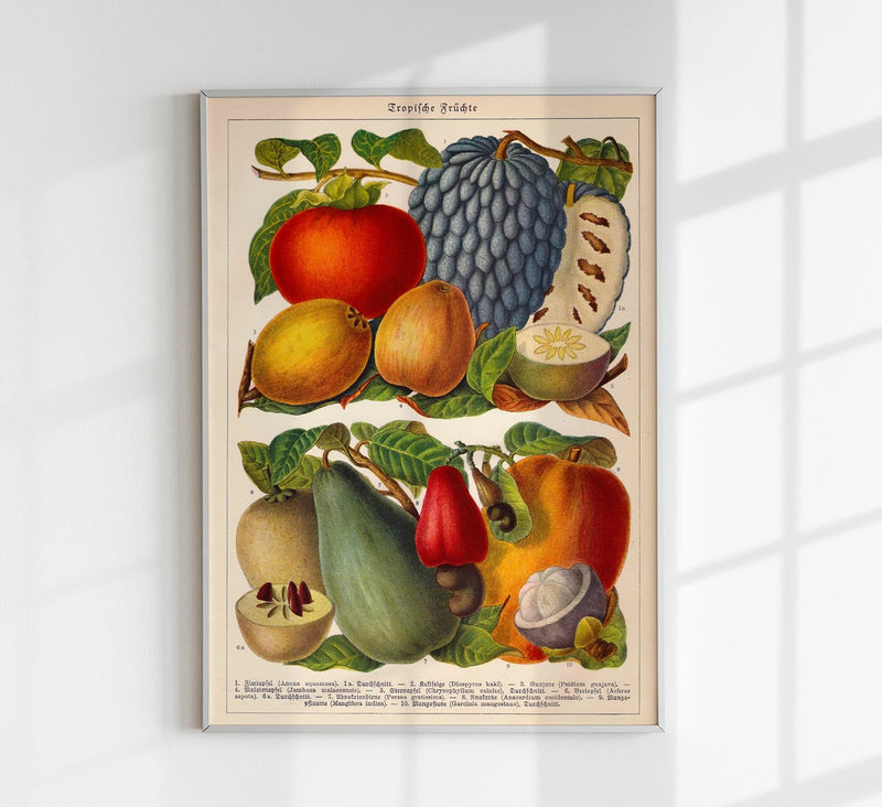 Tropical Fruits – Fine Art Print | UV-beständig | Botanisches Poster — Patroa Studio