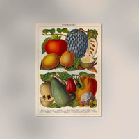 Tropical Fruits – Fine Art Print | UV-beständig | Botanisches Poster — Ansicht 2