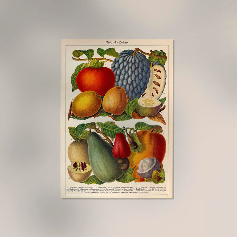 Tropical Fruits – Fine Art Print | UV-beständig | Botanisches Poster — Ansicht 2