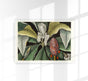 Botanical Print Umbrella Tree Magnolia – Fine Art Canvas Poster