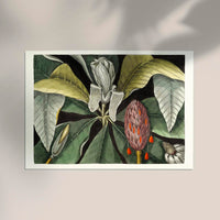 Botanical Print Umbrella Tree Magnolia – Fine Art Canvas Poster — Ansicht 2