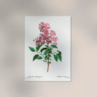 Chinese Lilac Flower Botanical Poster – Fine Art Print Patroa Studio — Ansicht 2