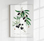 Olive Tree Botanical Poster – Botanische Kunstdruck | Fine Art Print UV-beständig