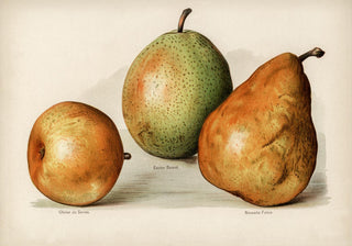 Olivier Easter Nouvelle Pears Fruit Poster – Stillleben Kunst | Fine Art Print | UV-beständig