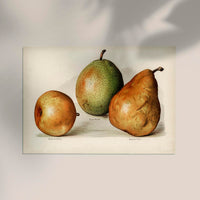 Olivier Easter Nouvelle Pears Fruit Poster – Stillleben Fine Art Print UV-beständig — Ansicht 2