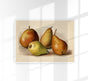 Bergamot Durondeau Peaches Fruit Poster – Fine Art Paper or Canvas