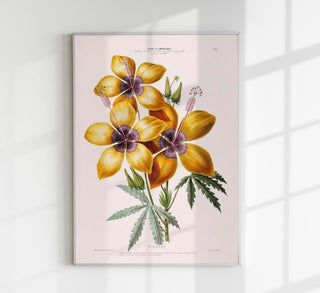 Hibiscus Botanical Poster – Fine Art Print | UV-beständig | Atelierdruck Berlin