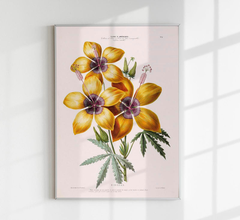 Hibiscus Botanical Poster – Fine Art Print UV-beständig Atelierdruck Berlin — Patroa Studio