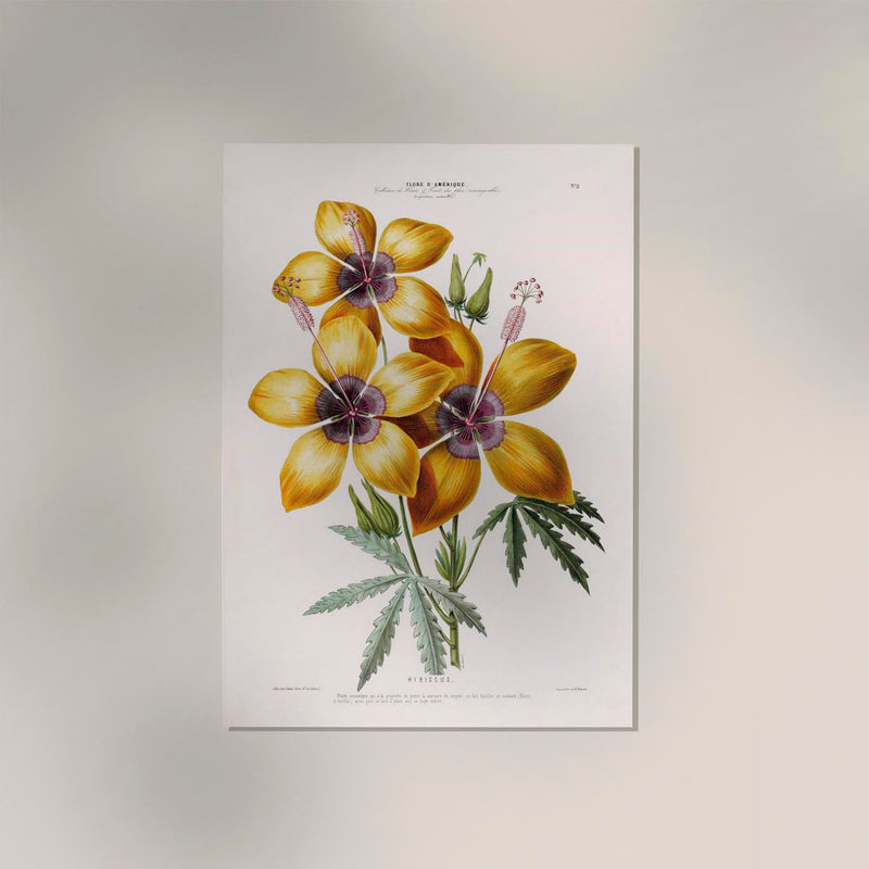 Hibiscus Botanical Poster – Fine Art Print UV-beständig Atelierdruck Berlin — Ansicht 2