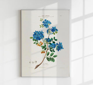 Le Gayac Botanical Poster, botanischer Kunstdruck mit historischer Gayac-Baumillustration im zeitlosen Fine-Art-Stil auf säurefreiem Papier oder Canvas
