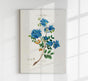Le Gayac – Botanical Poster | Art Print | Historical Tree Illustration