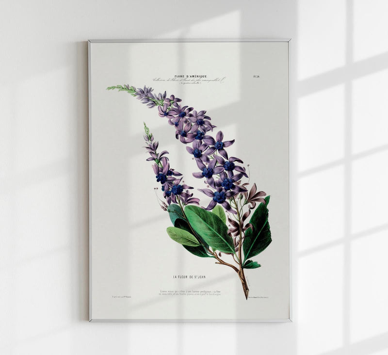 La Fleur De St Jean Botanical Poster – Handmade, Archival, Vibrant Colors — Patroa Studio