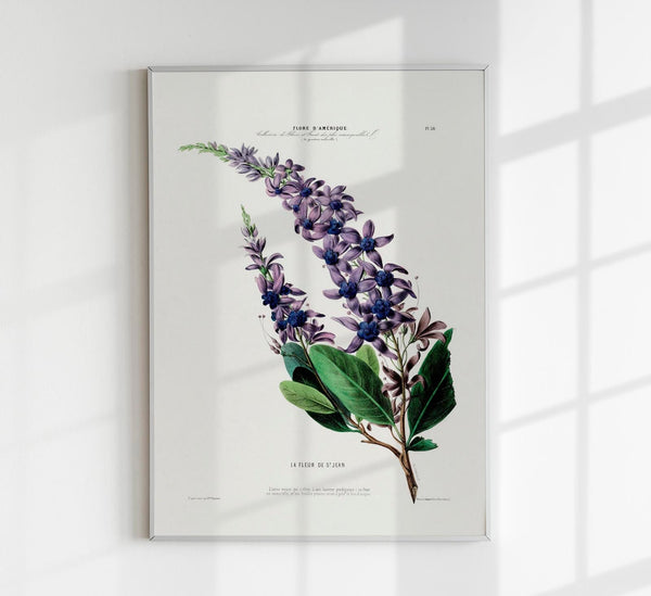 La Fleur De St Jean Botanical Poster – Handmade, Archival, Vibrant Colors