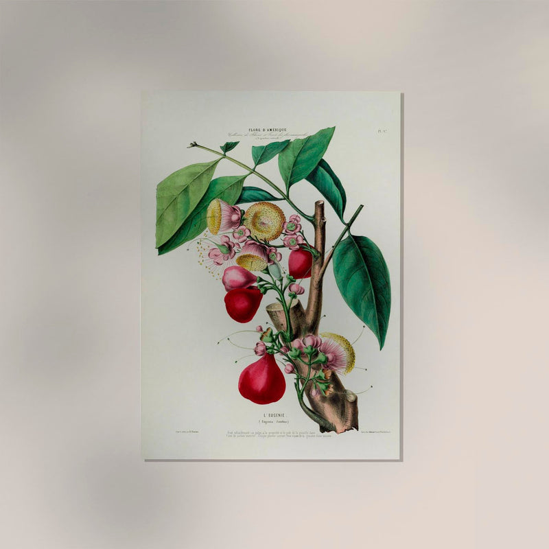 L'Eugenie Botanical Poster – Fine Art Print Historical Fruit Illustration — Ansicht 2
