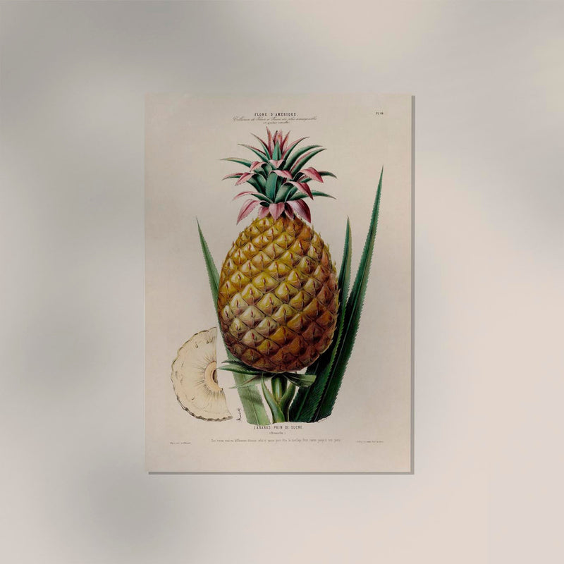 L' anana Pain De Sucre Botanical Poster – Fine Art Print Tropical Illustration — Ansicht 2