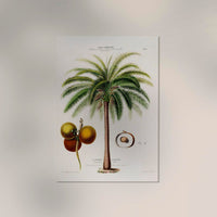 Le Palmier Glouglou Botanical Poster – Vintage Art Print on Premium Paper — Ansicht 2