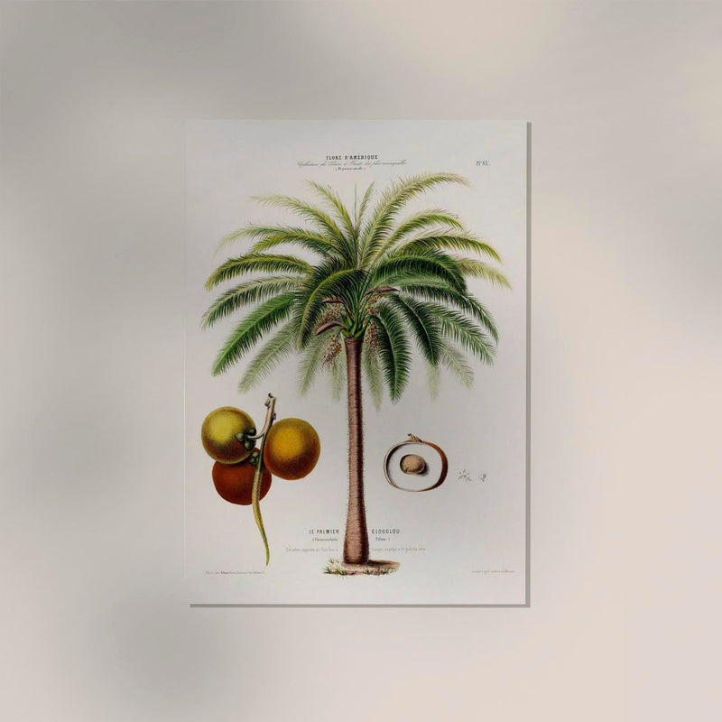 Le Palmier Glouglou Botanical Poster – Vintage Art Print on Premium Paper — Ansicht 2
