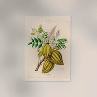 The Carambola Botanical Poster – Exotic Fruit Botany Fine Art Print Canvas — Ansicht 2