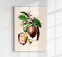 Le Sapotier Botanical Poster – Botanical Art Print on Fine Art Paper