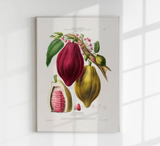 Le Chocolayer Botanical Poster – historisches Kakao-Botanikposter als Fine Art Wandkunst für Küche, Café oder Essbereich im kuratierten Gallery-Wall-Stil
