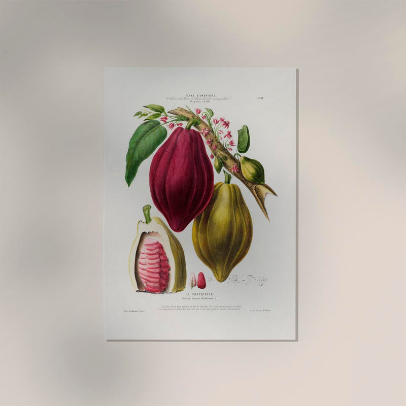 The Chocolayer Botanical Poster – Cacao Botany Fine Art Print Canvas — Ansicht 2