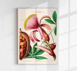 Botanisches Fine-Art-Poster „Le Marronier" mit majestätischer Kastanienbaum-Illustration, üppigem Laub und feinen Aststrukturen in natürlichen Grüntönen.