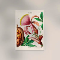 Le Marronier Poster – Botanical | Premium Chestnut Tree Print | Patroa Studio — Ansicht 2