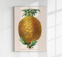 Pineapple Botanical Poster - Art Print Pineapple Illustration Fine Art — Ansicht 1