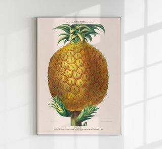 L'Ananas Botanical Poster, botanischer Kunstdruck mit feiner Ananas-Illustration im zeitlosen Fine-Art-Stil auf säurefreiem Papier oder Canvas
