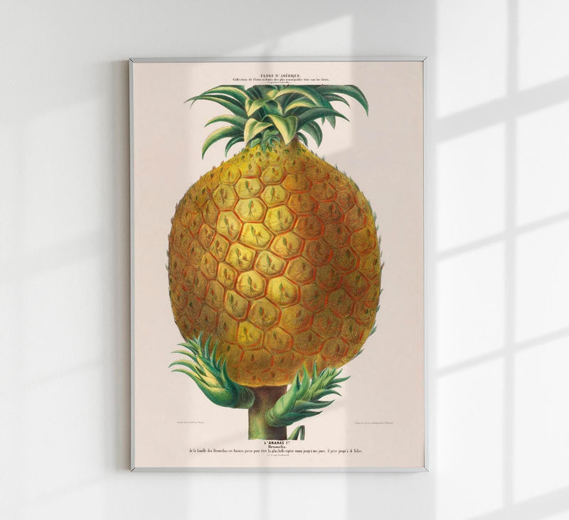 Pineapple Botanical Poster - Art Print Pineapple Illustration Fine Art — Patroa Studio