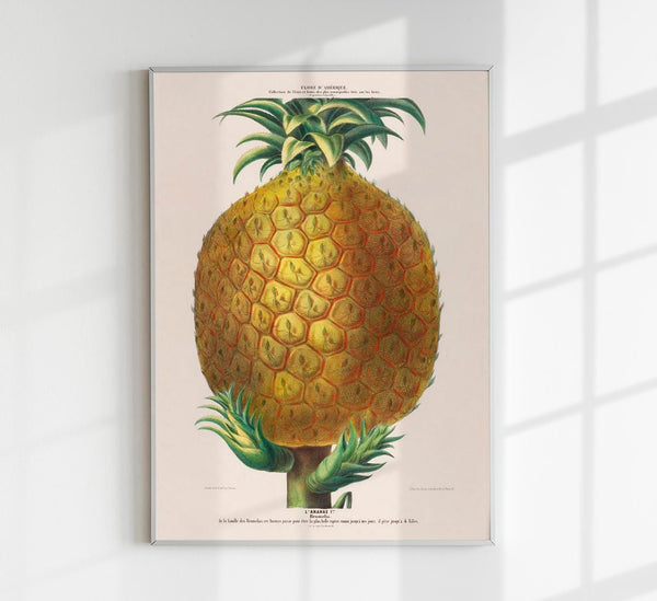 Pineapple Botanical Poster - Art Print Pineapple Illustration Fine Art