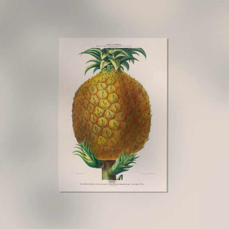 Pineapple Botanical Poster - Art Print Pineapple Illustration Fine Art — Ansicht 2
