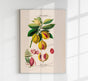 Les Muscades Botanical Poster | Art Print | Timeless Plant Illustration