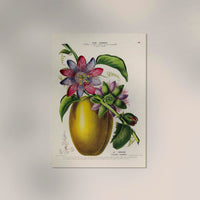 La Barbadine Passiflora – Fine Art Print Botanical Design UV-resistant — Ansicht 2