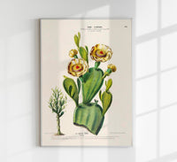 Nopal Cactus – Botanical Fine Art Poster | Patroa Studio — Ansicht 1