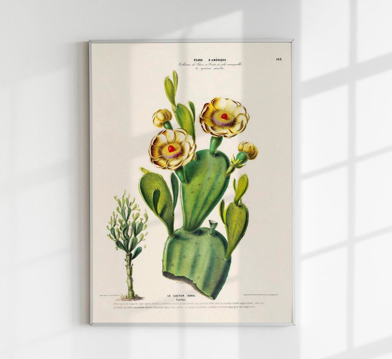 Nopal Cactus – Botanical Fine Art Poster | Patroa Studio — Patroa Studio